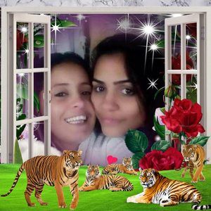 Meet your Posher, Katty